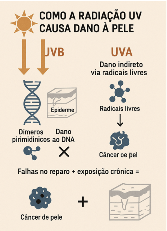 Radiação Solar e Câncer de Pele: Como se Proteger Todos os Dias
